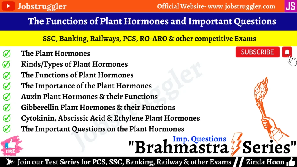 The Plant Hormones and Important Questions