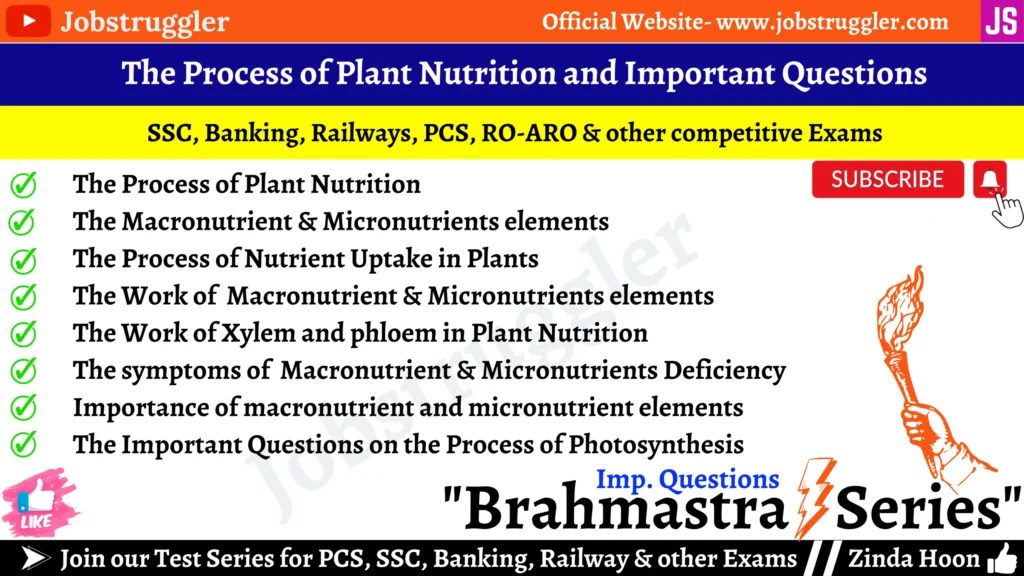 The Process of Plant Nutrition and Important Questions